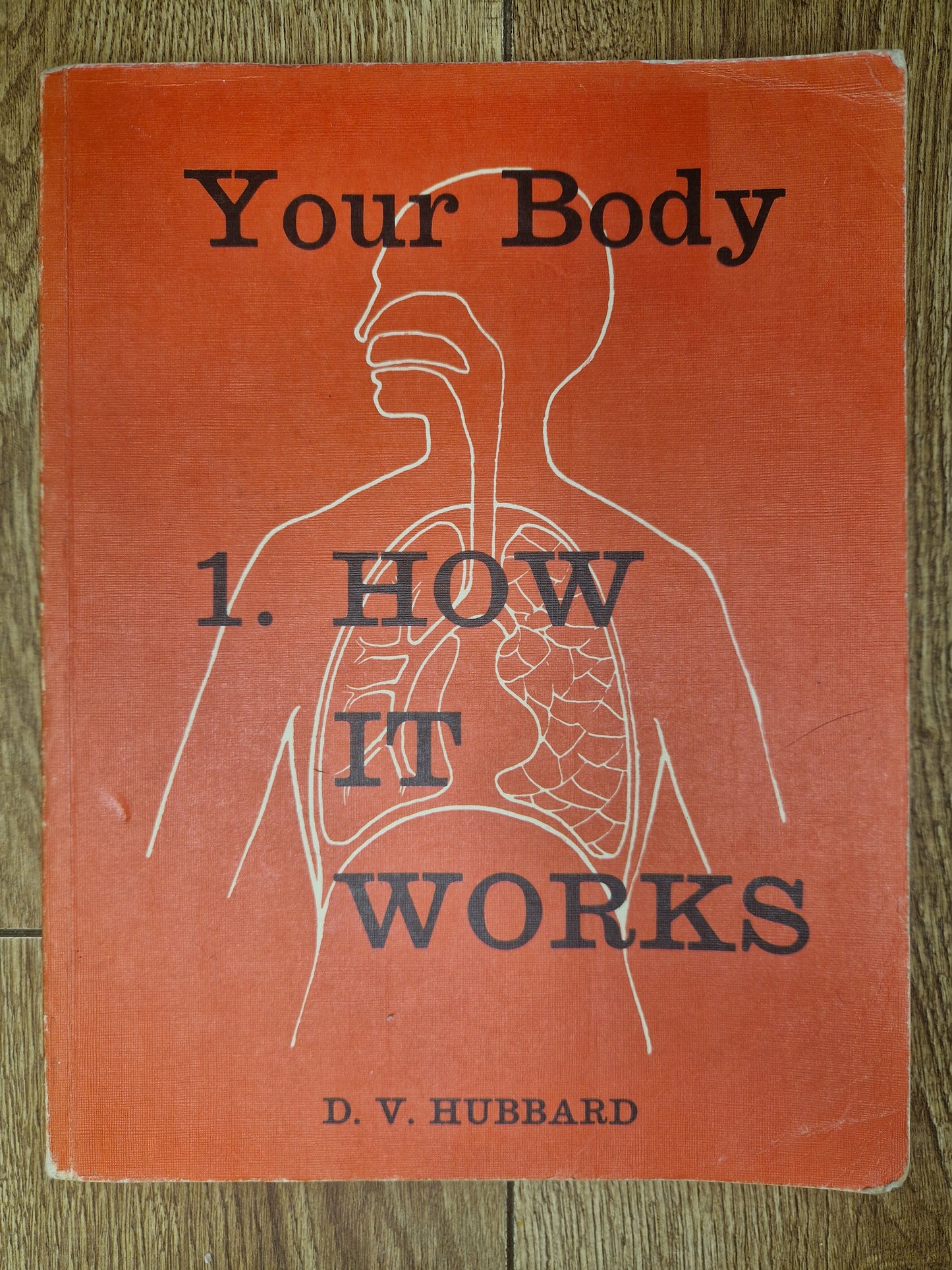 Your Body - How It Works