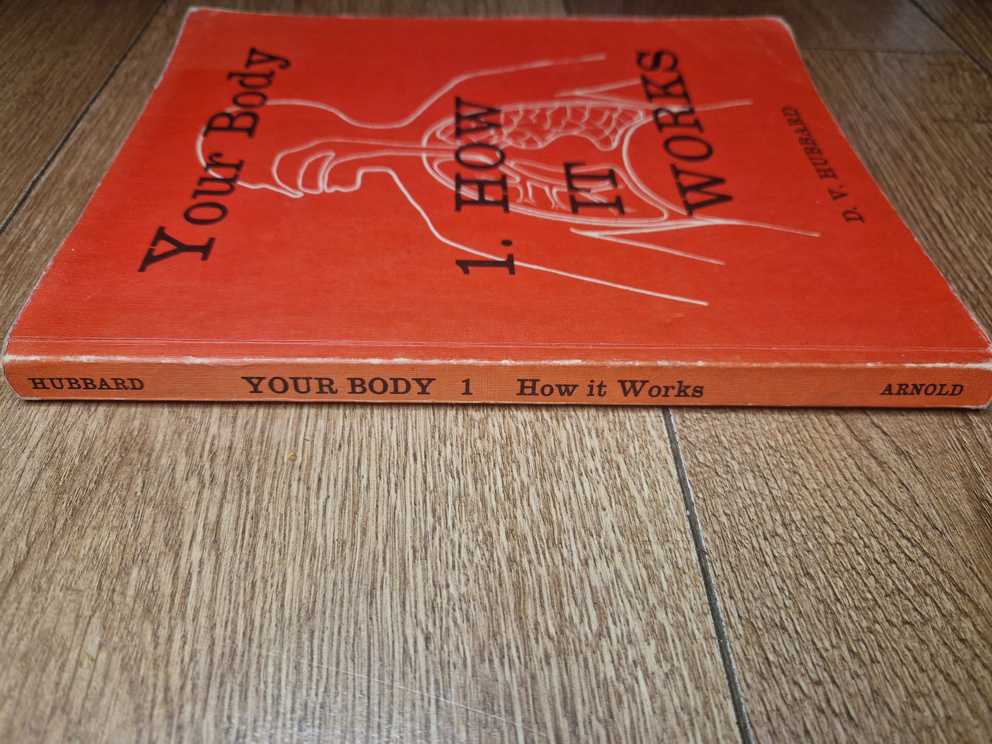 Your Body - How It Works