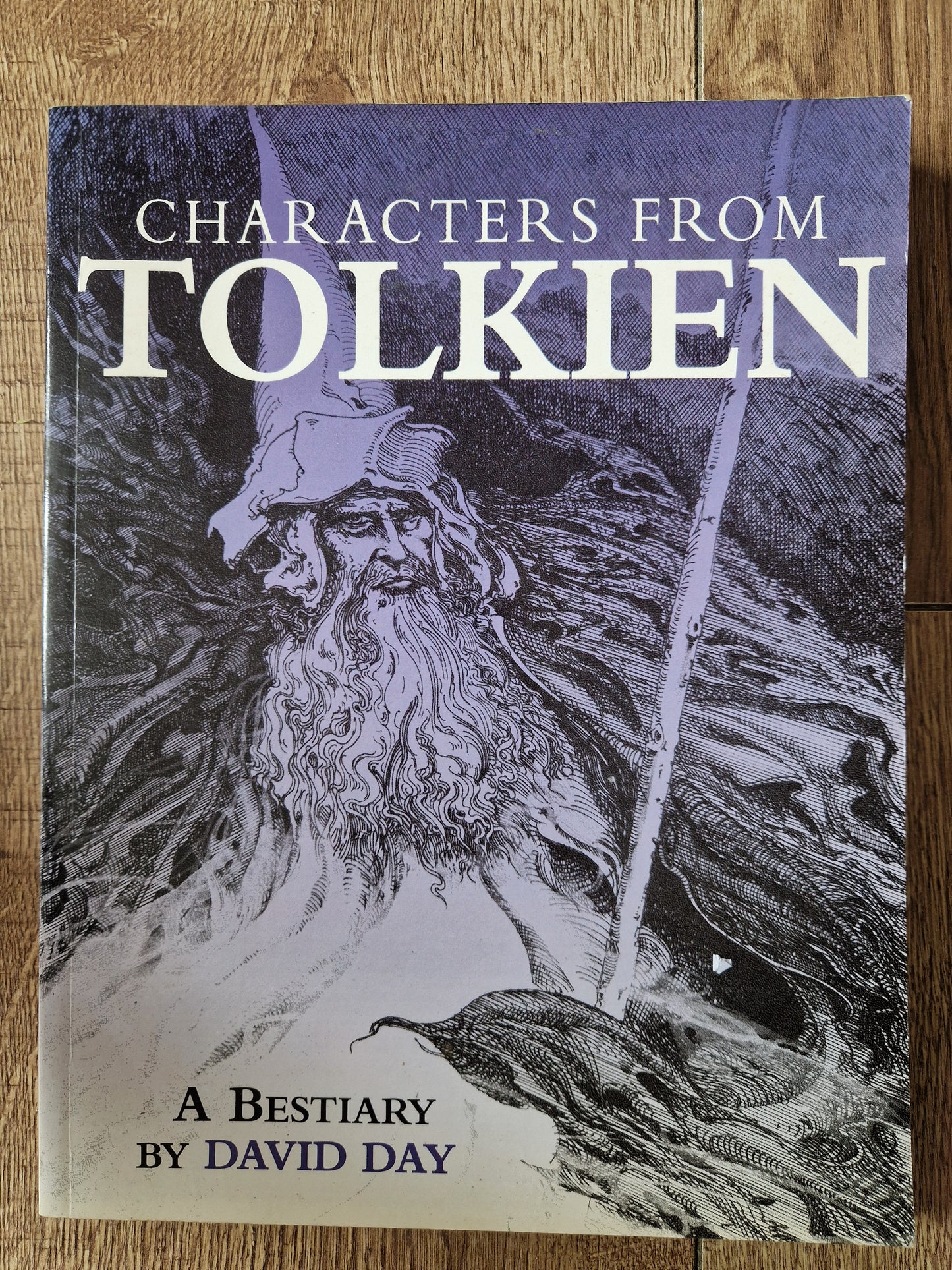 Characters From Tolkien by David Day