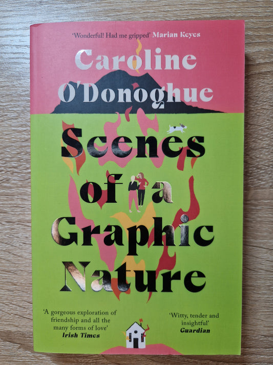 Scenes of a Graphic Nature by Caroline O'Donoghue