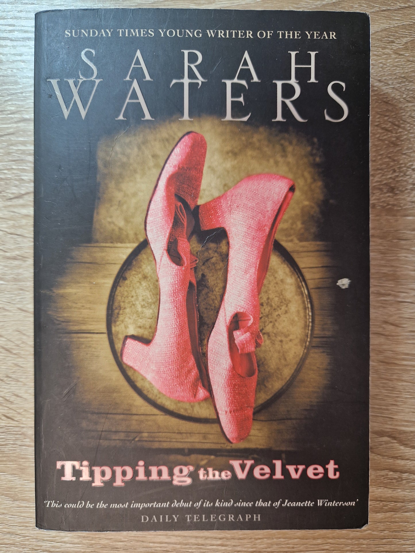 Tipping The Velvet by Sarah Waters