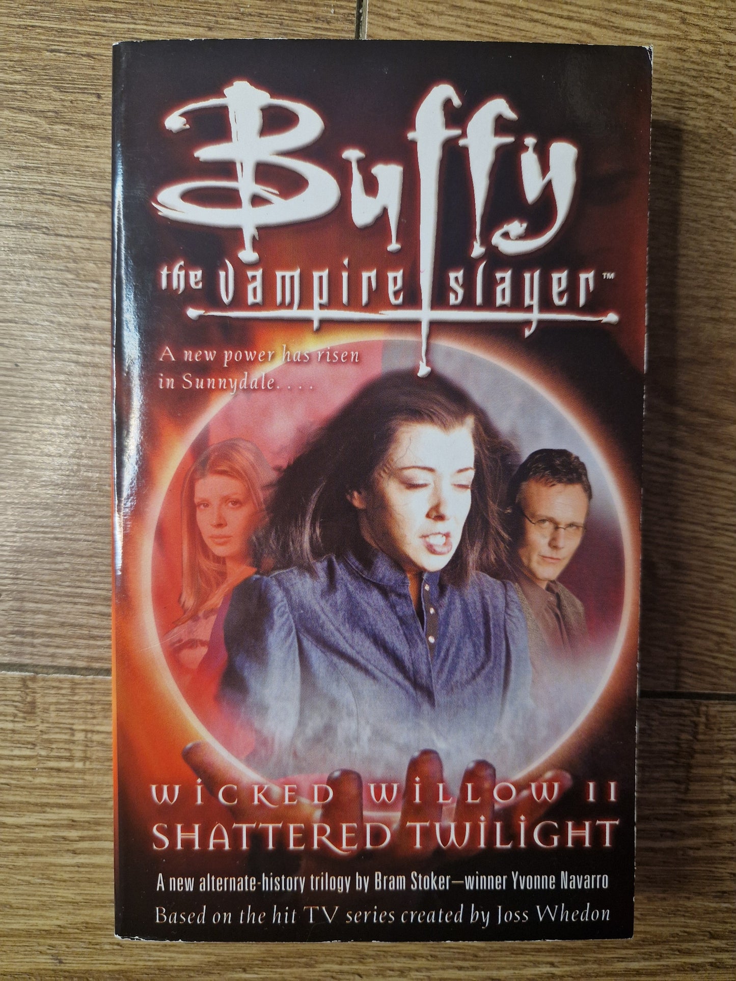 Buffy The Vampire Slayer Wicked Willow II Shattered Twilight by Yvonne Navarro (First Edition)